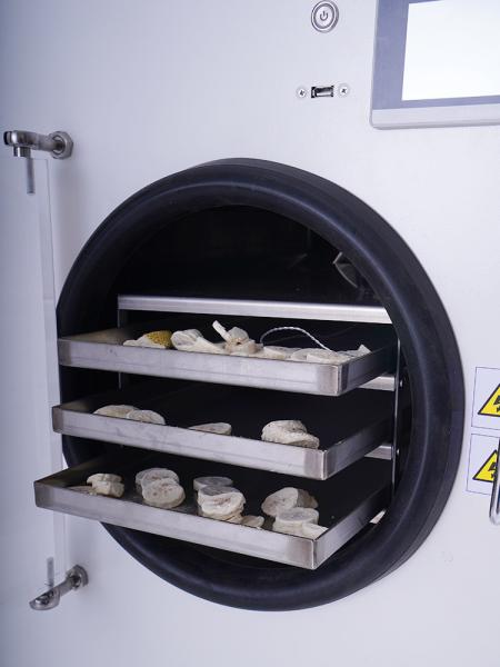 Vertical Factory Price Freeze Dryer 110 V Food Factory