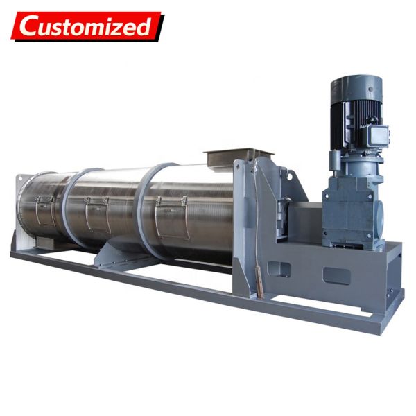 Custom Low Energy Consumption Continuous Paddle Mixer with Variable Speed and Safety Features for Various Industries