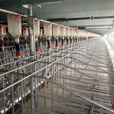 Penas da gestação do equipamento agrícola da pocilga do ODM do OEM para o projeto da porta traseira das porcas