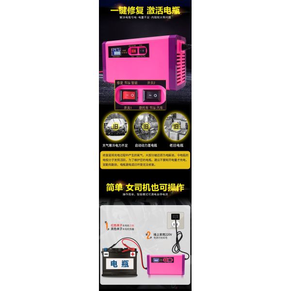 Умный свинцовокислотный Dc заряжателя 220v тонкой струйки батареи мотоцикла для электрического скутера