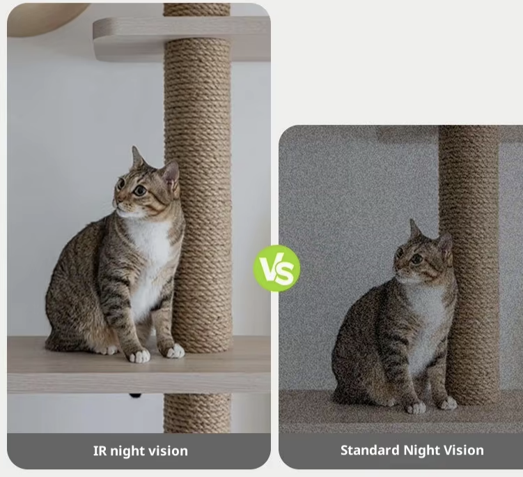 Intelligent Eco-Friendly Stainless Steel Plastic Pet Feeder Automatic Cat Dog Food Dispenser Timed Remote Voice Video Charge