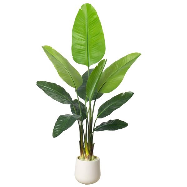Artificial Bird of Paradise Plant 6.8FT - Luxury Faux Palm Tree in White Planter for Indoor Office Decor