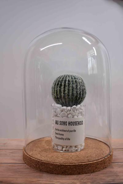 ODM Dampproof Mini Glass Bottle Corks Glass Base Dome 2.5*2.2IN Groove Line