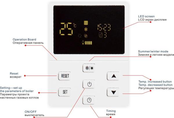 Remote Easy Control Wall Hung Gas Boiler For Heating And Hot Water Supply