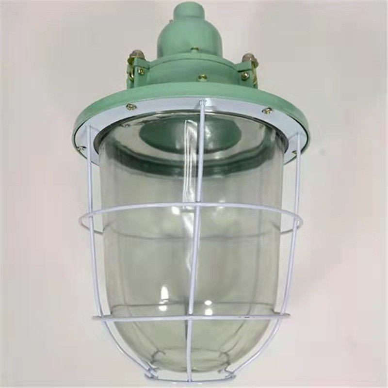 200w Explosion-proof LED Bulb for Indoor/Outdoor in Chemical Plants Lighting Fixture