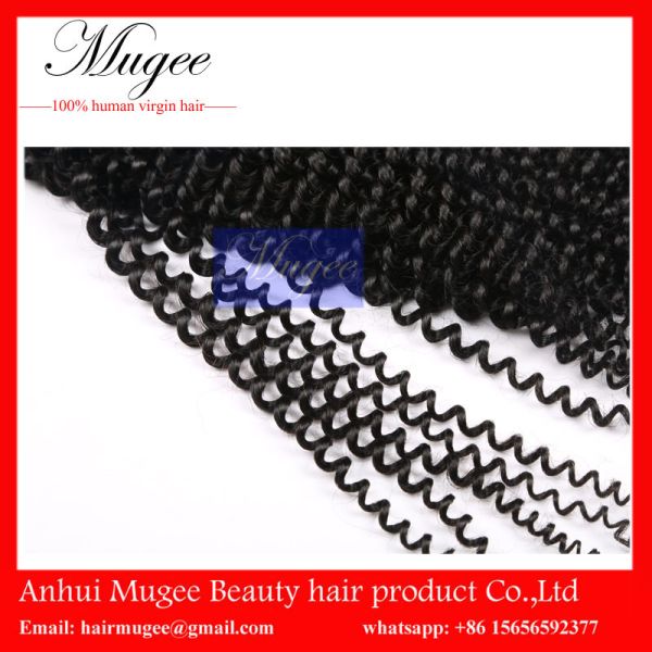 best curly hair product virgin human malaysian hair beautiful malaysian hair for women