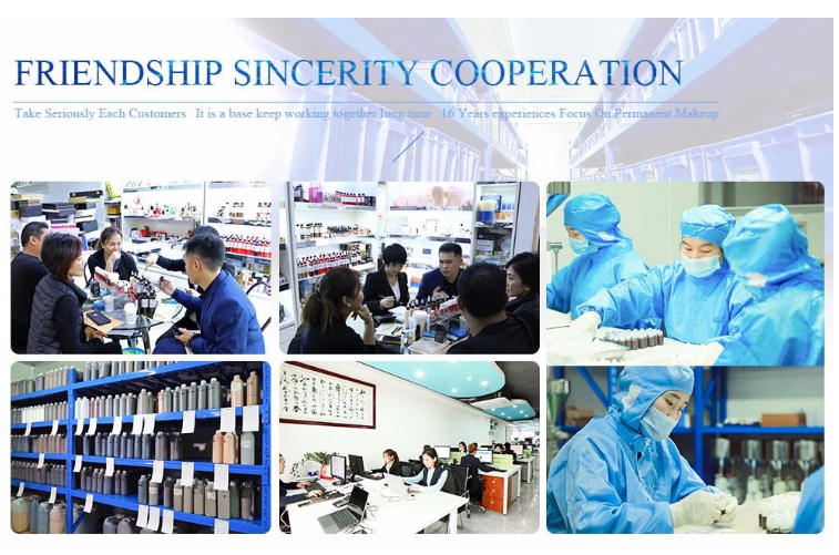 Colorants de maquillage de micro de Charmant de mode d'OEM/encre semi permanents tatouage de Microblading