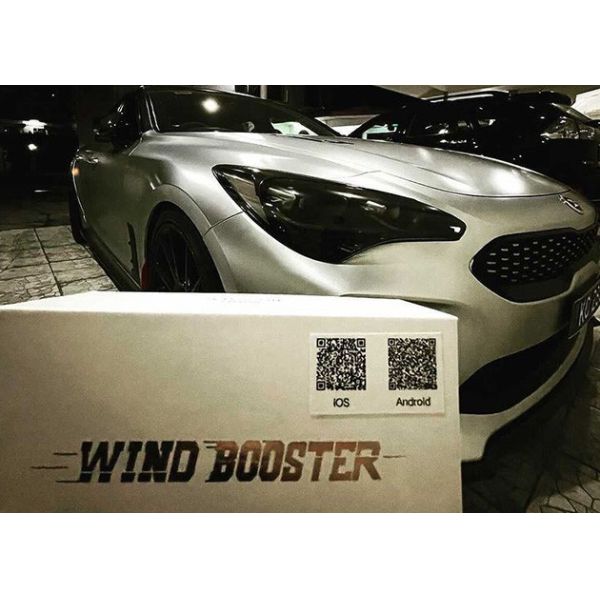 Регулятор дросселя автомобиля РЕЖИМА Windbooster 5 электронный 49*30*8.2mm
