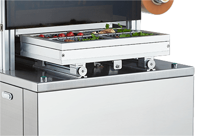 Fully Automatic Vertical Modified Atmosphere Sealer DQ480L-E with Food Grade 304 Stainless Steel and 6061 Anodized Aluminum Mold for Automatic Packaging