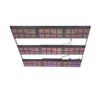 O diodo emissor de luz do poder superior de Bavagreen cresce a placa IR UV do quantum das luzes 1080w IP65