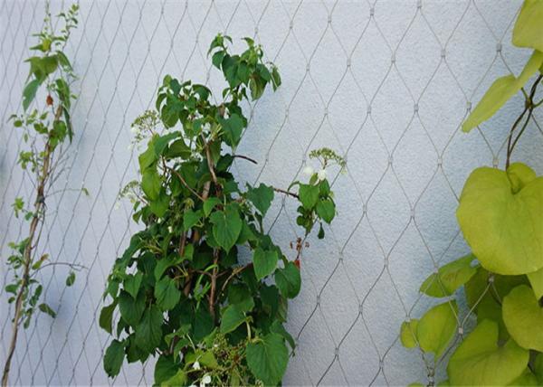 Beautiful Aperture Stainless Steel Cable Netting Wire Mesh Custom Made Size