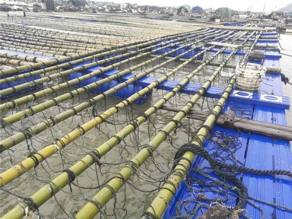 Dock Pontoon Floating Fish Cage Harvesting Machinery Type For Fishing Auxiliary Machinery