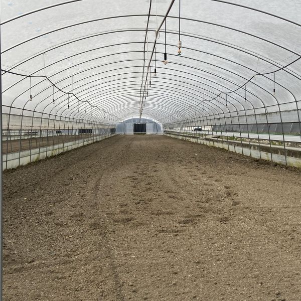 Winter Warm Tomato Anti Fogging Non Drop Plastic Film Greenhouse Tunnel Plastic Greenhouse