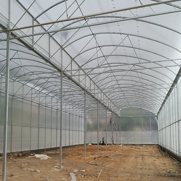Modern Greenhouse Ventilation High Roof UV Plastic For Tropical Rainy Regions
