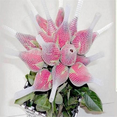 Non - Toxic Protective Netting Sleeve
