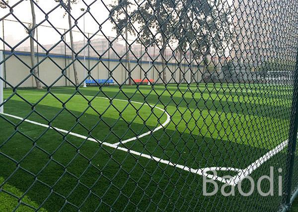 Carbon Steel Green Pvc Coated Chain Link Fence Anti Alkali For Sports Field