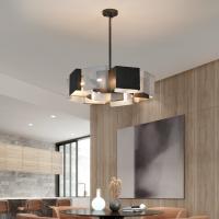 Lámparas decorativas modernas de plata del barrido negro que cuelgan la corrosión anti a prueba de herrumbre de las lámparas