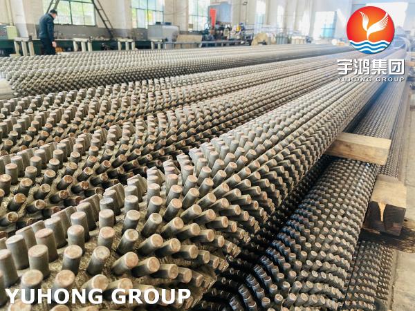 TP316L ASTM A312 Stainless Steel Tube Finning For Furnace And Oil Refinery