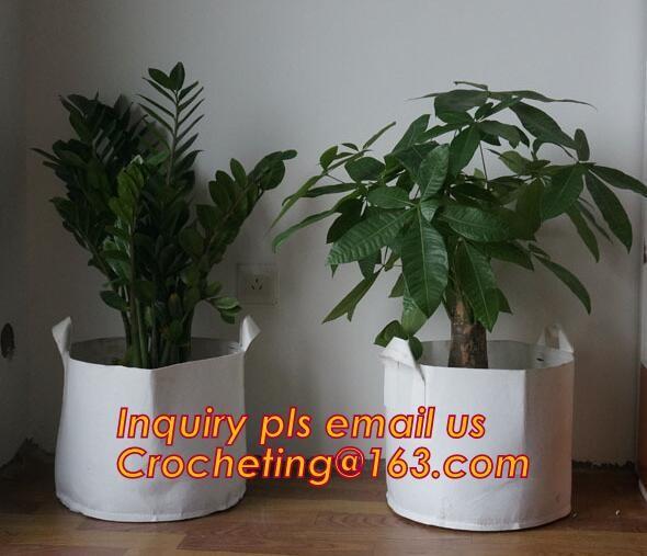 wholesale felt grow bags 5,10,15,20 gallon Felt large plant bag, Promotion Handmade Innovative Product Mini Felt Grow Ba