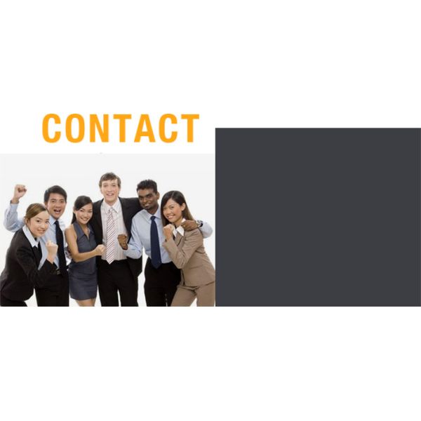 19x9.5cm Debossing Ladies Clutch Purse , BSCI Womens Leather Trifold Wallet With Coin Pocket