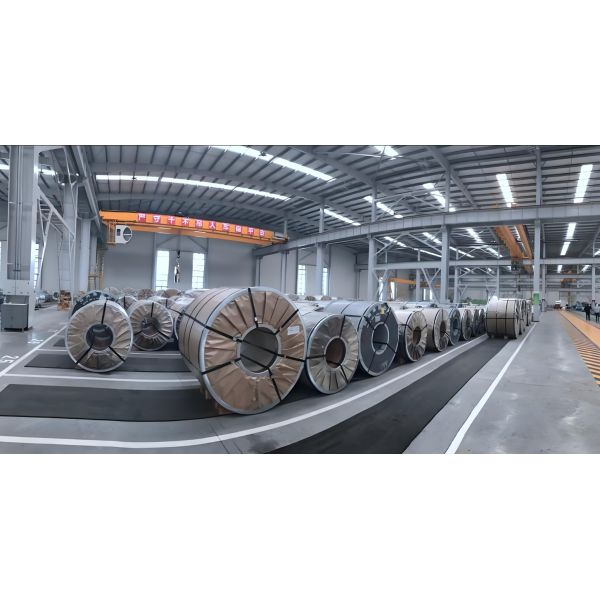 Processing Service Mid Hard PPGI Steel Coil for Color Coated Prepainted Galvanized