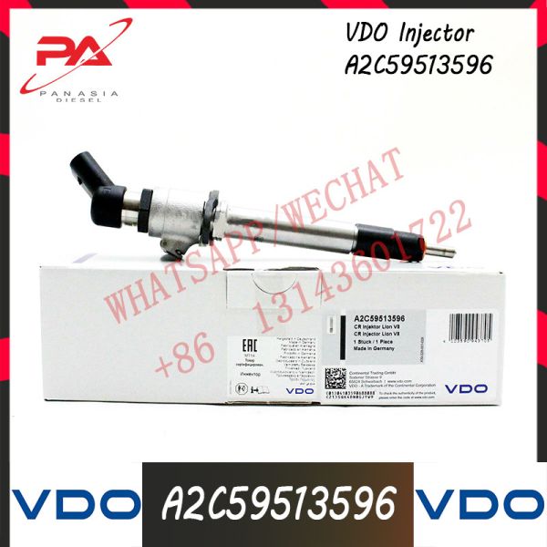 Excavador común For LAND ROVER del inyector de combustible del carril de VDO A2C59513596 5WS40253