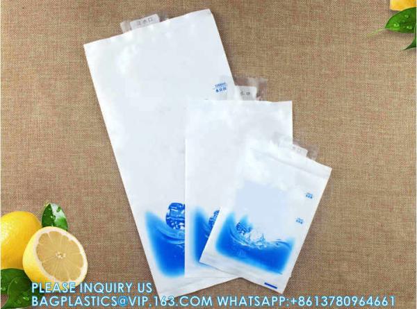 Reusable Injecting water Gel Ice Pack Water Injection Freeze Dry Ice Pack For Food Fresh Shipping Delivery Transport