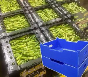 波紋状のプラスチック箱 PP ホールシートボックス 軽量 防水野菜