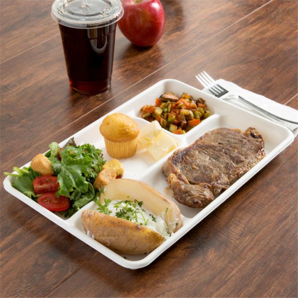 Dinnerware 25g 5 Compartment Biodegradable Food Trays