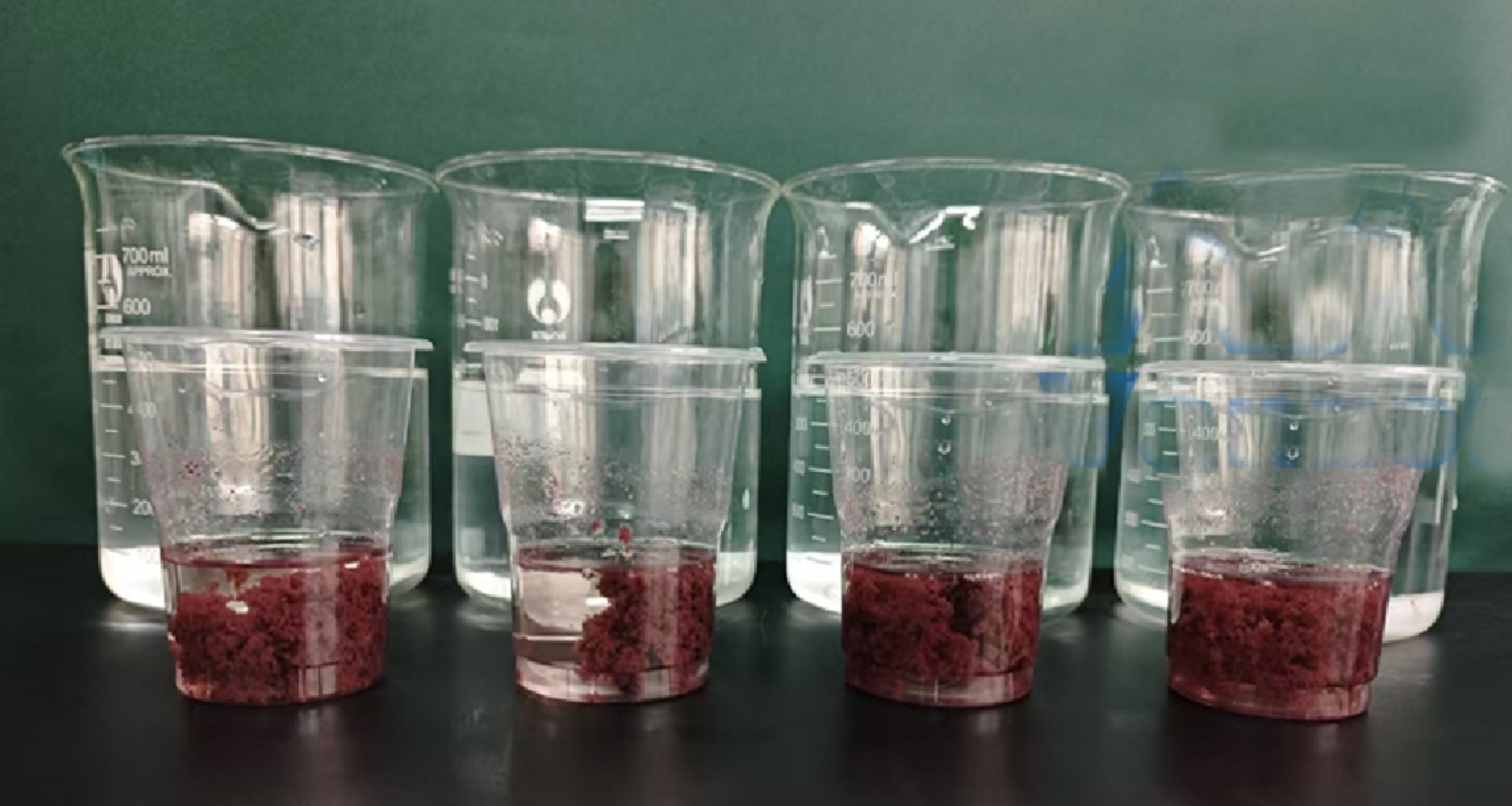 Cationic Flocculant C497 Slaughterhouse Wastewater Flocculation And Color Removal Treatment Chemicals