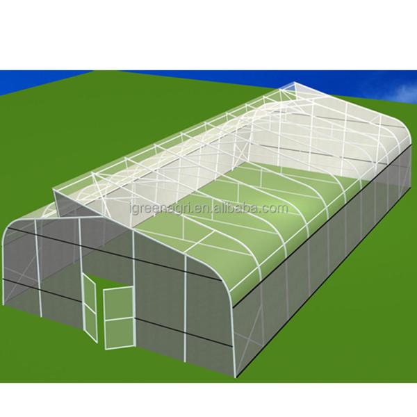 Vegetable Cultivation Plastic Tunnel Greenhouse 12m Width Single Layer
