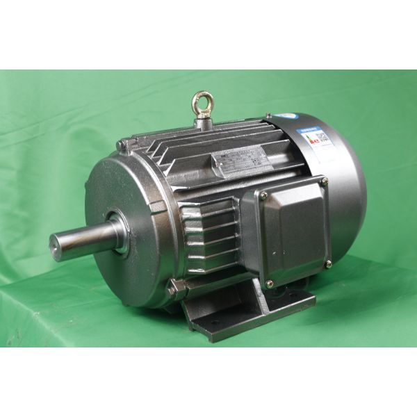 YE3 80M2-6 Class F Asynchronous Electric Motor 0.55kW IP55