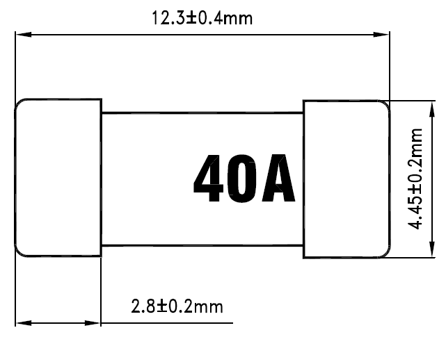 12.3x4.45x4.45mm SEH Series Gold Plated Brass Caps SMD Fuse 60V 40A Square Ceramic For Storage System Power