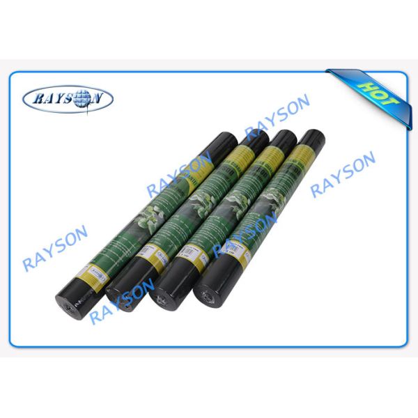 Biodegradable Weed Control Fabric