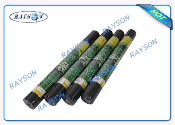 PP Material Non Woven Biodegradable Landscape Fabric For Ground Cover / Anti Weed