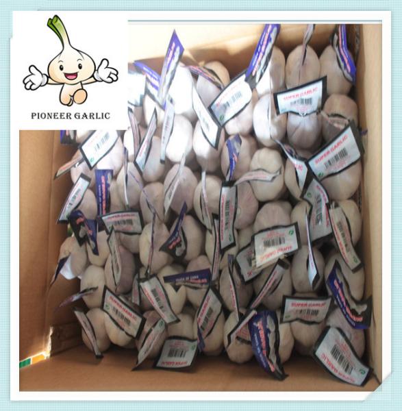 Chinese Fresh White Garlic 5.0cm 20kg/mesh bag or 10kg/mesh bag
