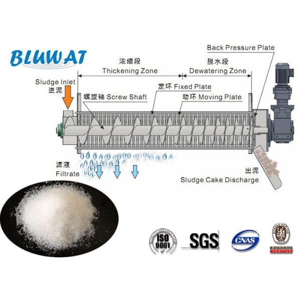Sludge Dewatering Polymer Blufloc Cationic Polyelectrolyte Flocculants CPAM