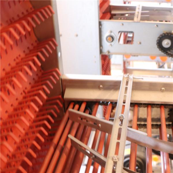 H Type 256 Birds / Set Automated Battery Cage System Poultry Farming