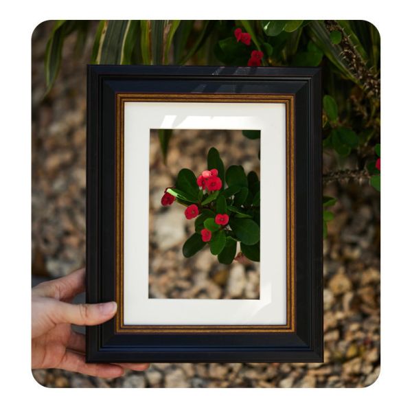 Modern MDF Wooden Photo Frame Fashionable Luxury Light Still Life Paintings Frame Home Decor Hand-made Painting Picture Frame