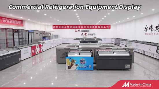 340W Combined Island Freezer Thermostat Commercial Refrigeration Equipment Double Doors