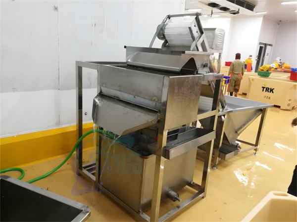 Equipamento de processamento de camarão de frutos do mar Máquina de lavar cabelo de camarão Separador de resíduos de camarão
