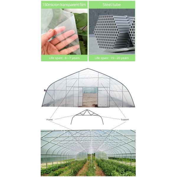 BAOLIDA Single-Span Greenhouse 6-10m Width 150/200micro PE Film Cover