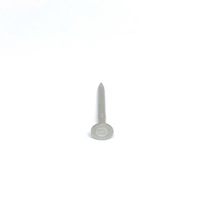 Pregos A2 de aço inoxidável principais lisos de 2.8X30MM com pata lisa