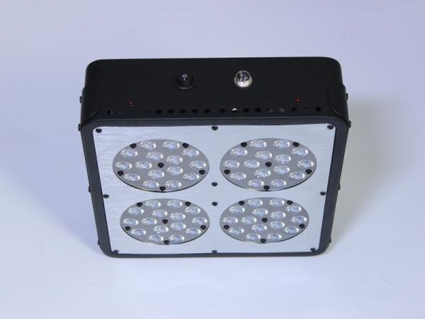 florist supplies 730nm full spectrum 180W apollo 4 grow lights led