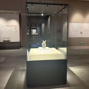 Modern Glass Display Case Freestanding Museum Cabinet for Science Museum Exhibits