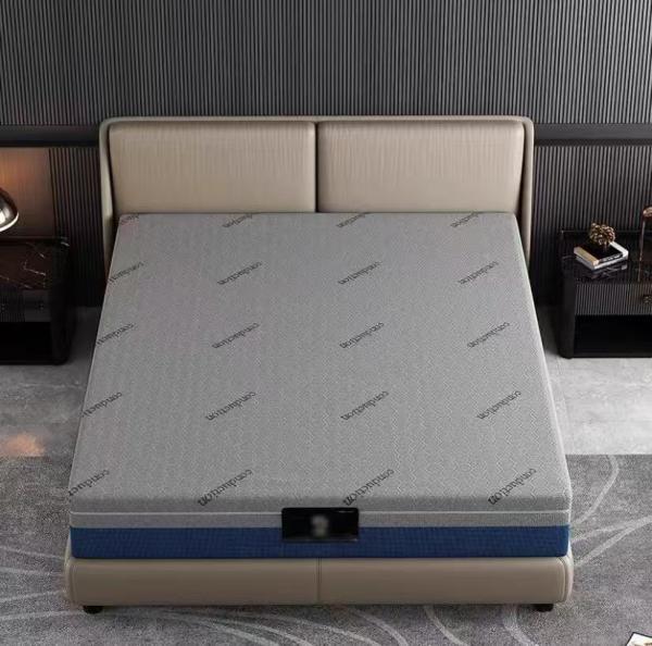 Thickness 10 Inch Memory Foam Mattress Custom High Density Foam Mattress