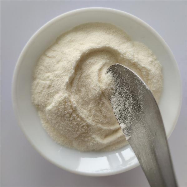 Food Grade cili juice powder/ Rosa Roxburghii  For Instant Tea Powder
