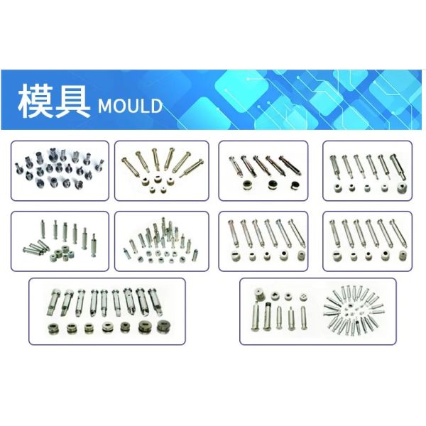 Fette Customized EU Tooling Punch & Die / Mould For Tablet Press Machine
