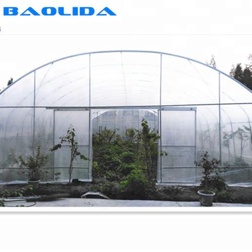 Estufa do filme plástico de crescimento vegetal/estufa período do túnel única