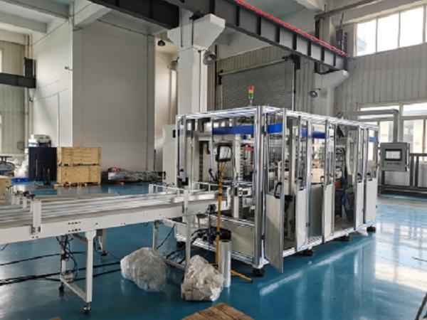 Horizontal 180D Flip 30rolls Paper Roll Packing Machine